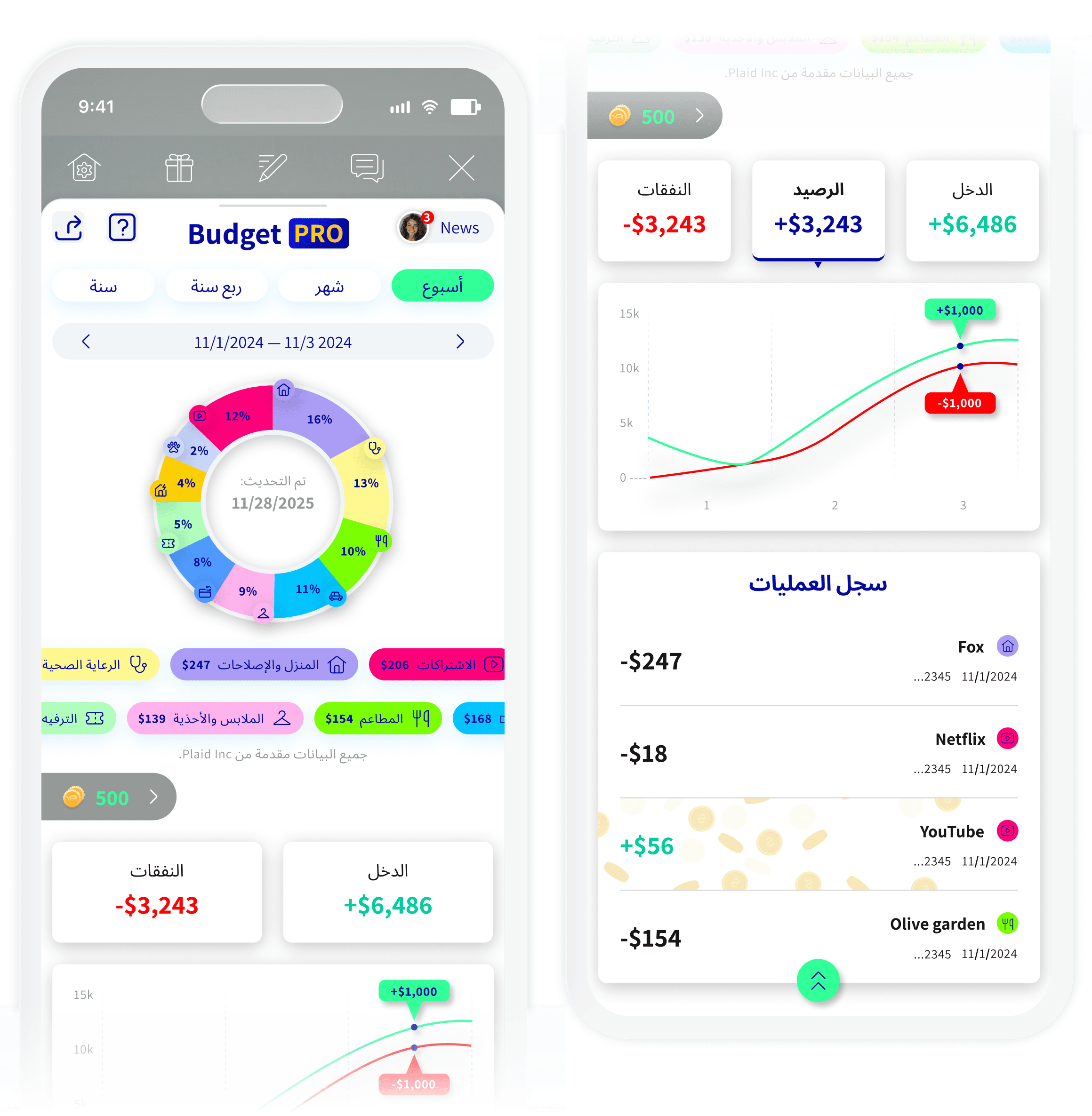 Budget PRO — YPA Finance